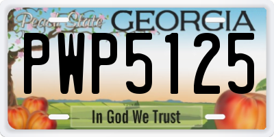 GA license plate PWP5125