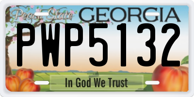 GA license plate PWP5132