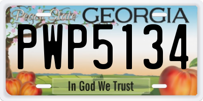 GA license plate PWP5134