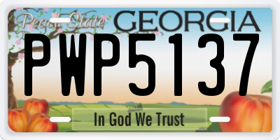 GA license plate PWP5137