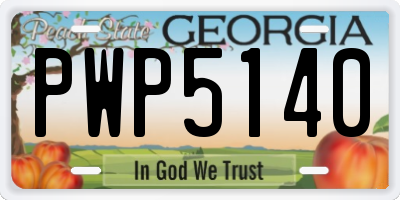 GA license plate PWP5140