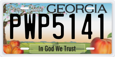 GA license plate PWP5141