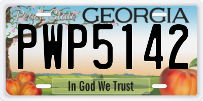 GA license plate PWP5142