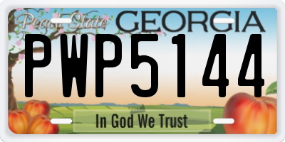 GA license plate PWP5144