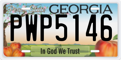 GA license plate PWP5146