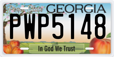 GA license plate PWP5148