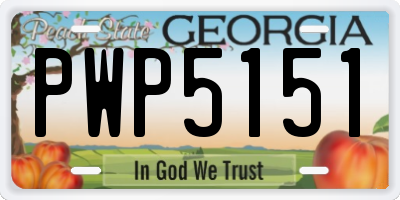 GA license plate PWP5151