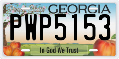 GA license plate PWP5153