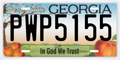 GA license plate PWP5155
