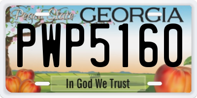 GA license plate PWP5160
