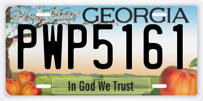 GA license plate PWP5161