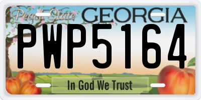 GA license plate PWP5164
