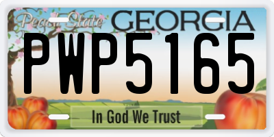 GA license plate PWP5165