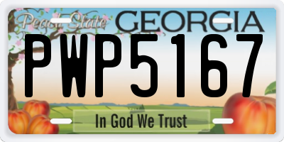 GA license plate PWP5167