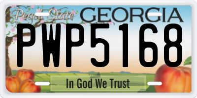GA license plate PWP5168