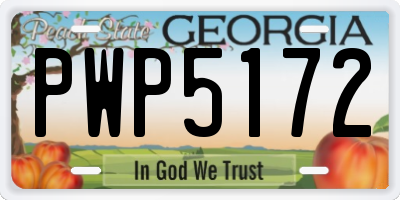 GA license plate PWP5172