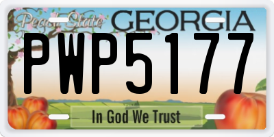 GA license plate PWP5177