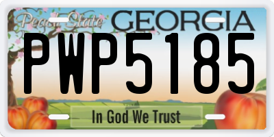 GA license plate PWP5185