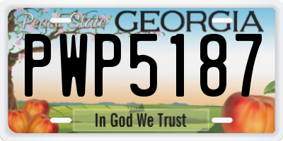 GA license plate PWP5187
