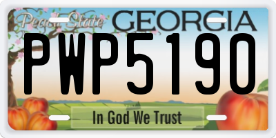 GA license plate PWP5190