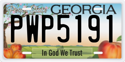 GA license plate PWP5191