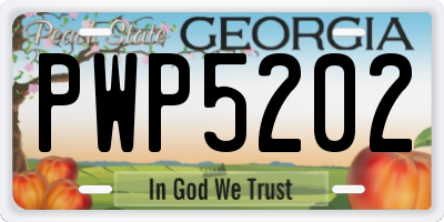 GA license plate PWP5202