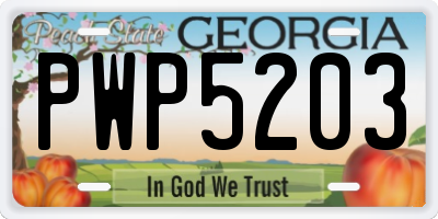 GA license plate PWP5203