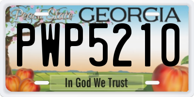 GA license plate PWP5210