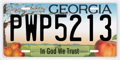 GA license plate PWP5213