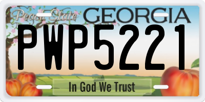GA license plate PWP5221