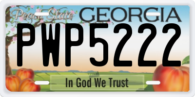 GA license plate PWP5222