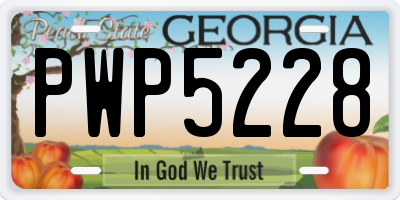 GA license plate PWP5228