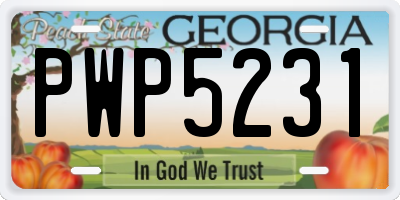 GA license plate PWP5231