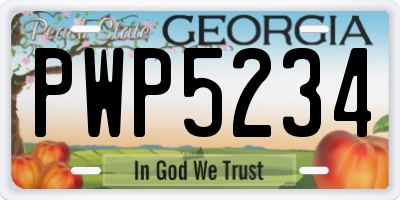 GA license plate PWP5234