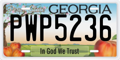 GA license plate PWP5236