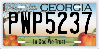 GA license plate PWP5237