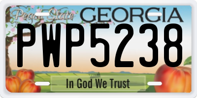 GA license plate PWP5238