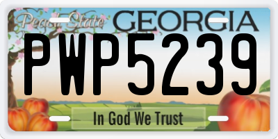 GA license plate PWP5239