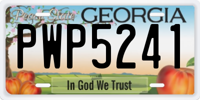 GA license plate PWP5241