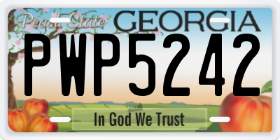 GA license plate PWP5242