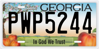 GA license plate PWP5244