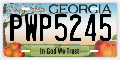 GA license plate PWP5245