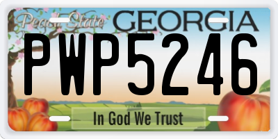 GA license plate PWP5246