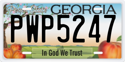 GA license plate PWP5247