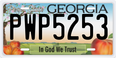 GA license plate PWP5253