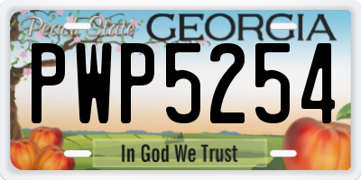 GA license plate PWP5254