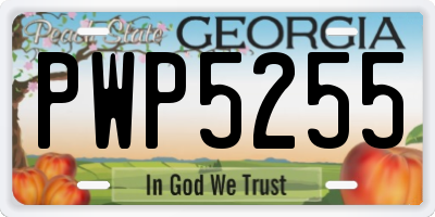 GA license plate PWP5255