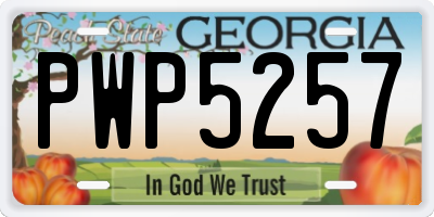 GA license plate PWP5257