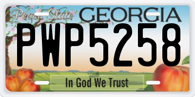 GA license plate PWP5258