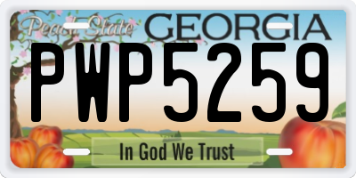 GA license plate PWP5259